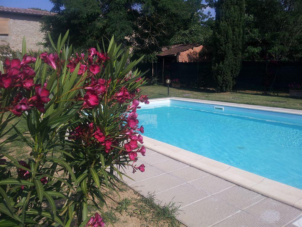 Apartament Il Gelso Cortona Zewnętrze zdjęcie