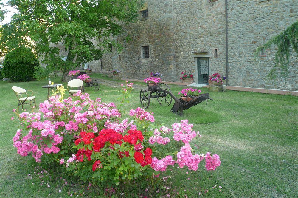Apartament Il Gelso Cortona Zewnętrze zdjęcie