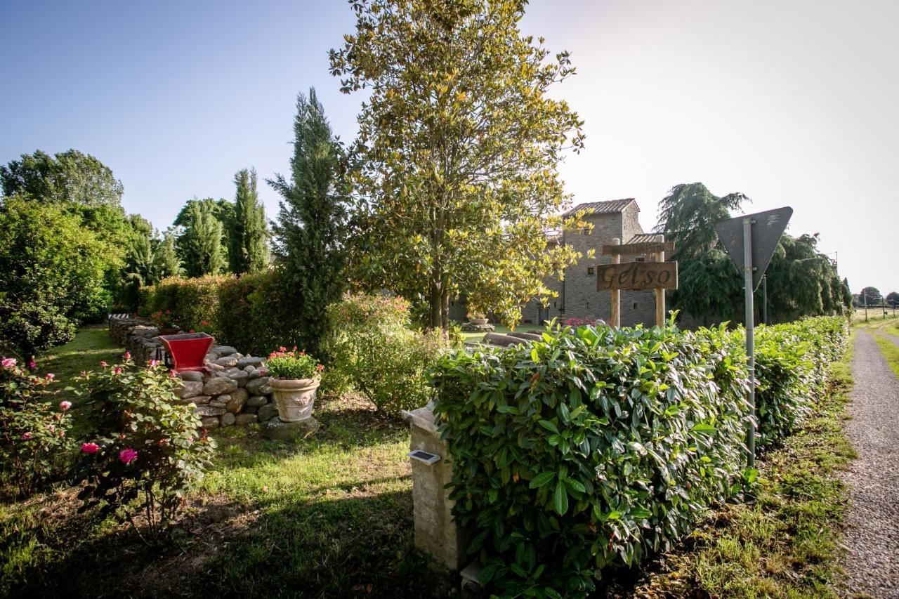 Apartament Il Gelso Cortona Zewnętrze zdjęcie