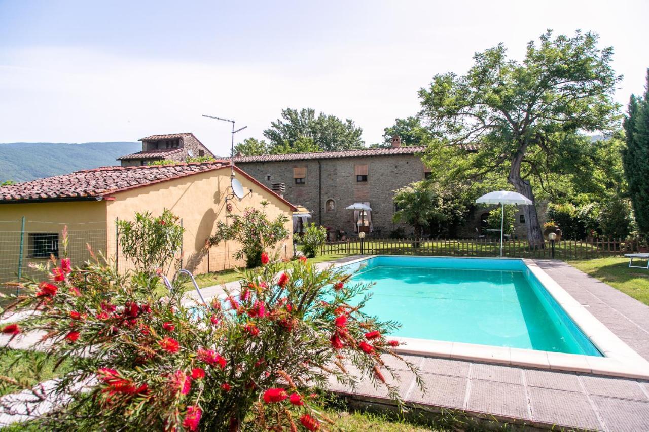 Apartament Il Gelso Cortona Zewnętrze zdjęcie